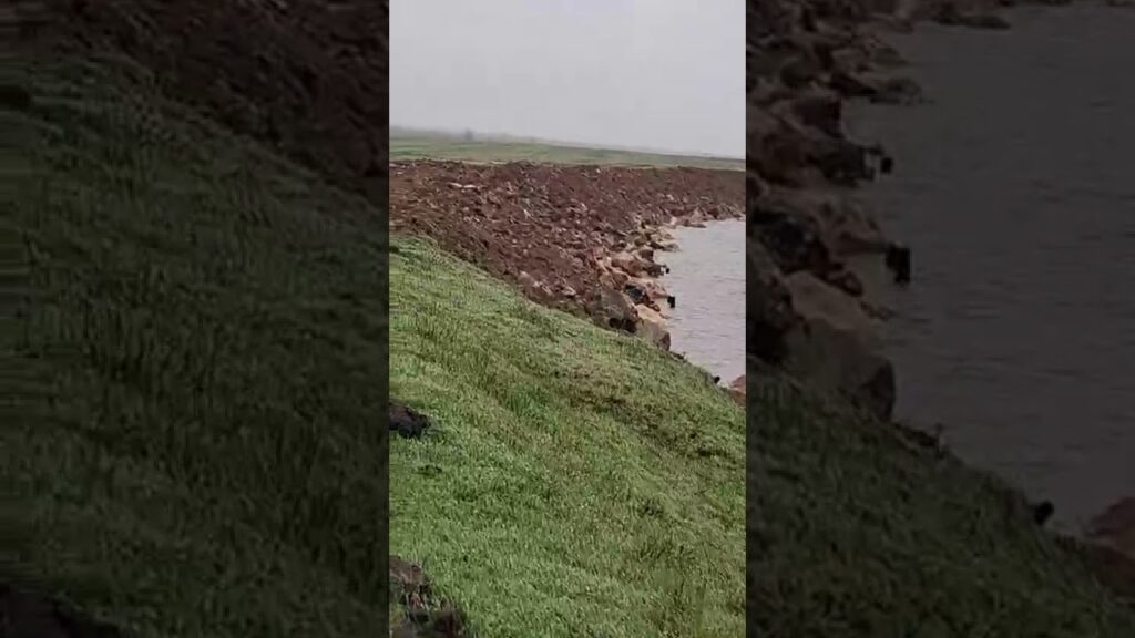 (VIDEO) Digul Polderului Bistreț, refăcut în regim de urgență: siguranța zonei a fost restabilită
