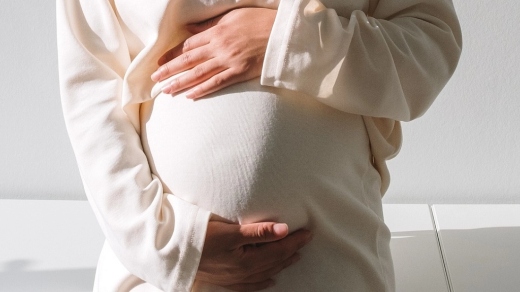 Programul „Fertilizare in Vitro” pentru 2026-2030, aprobat de Guvern