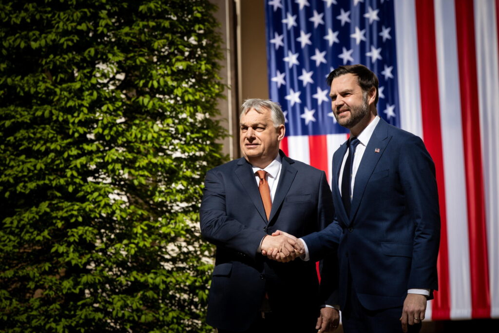 Germania susține că JD Vance e ipocrit când acuză UE de amestec în alegerile din Ungaria