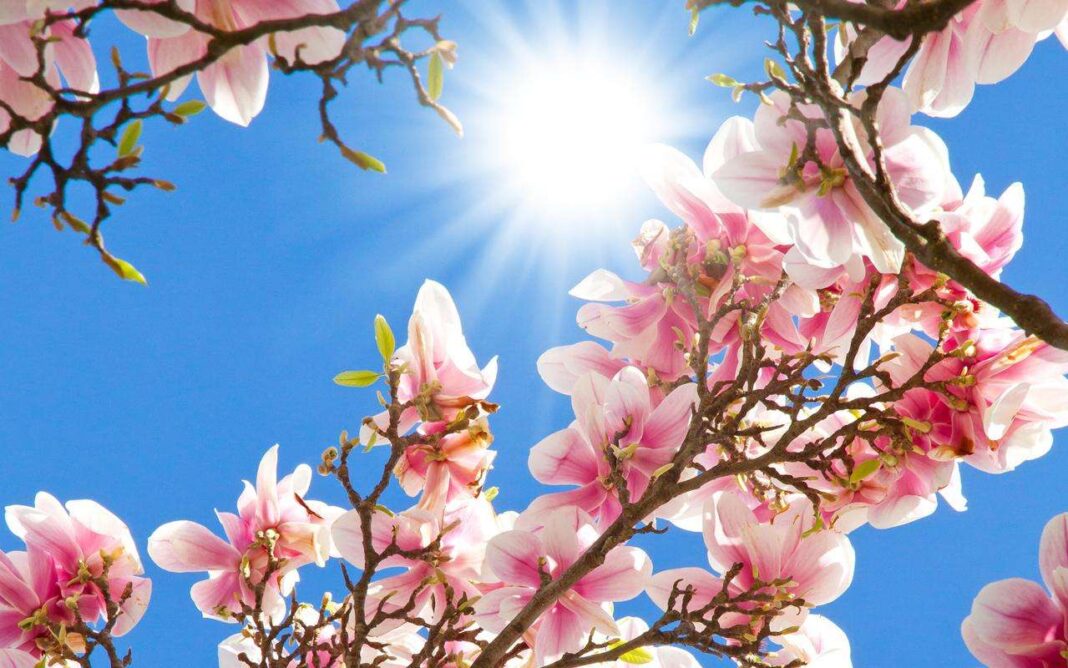 Prognoza meteo pentru următoarea lună anunță vreme bună (Puzzle Factory)