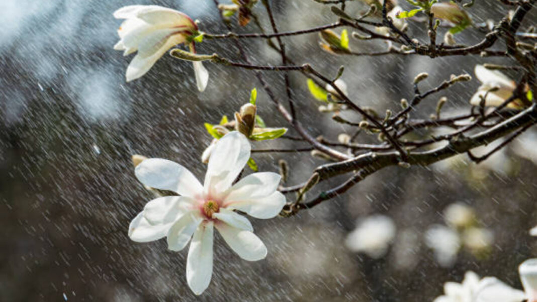 Cum va fi vremea în intervalul 6 aprilie – 4 mai