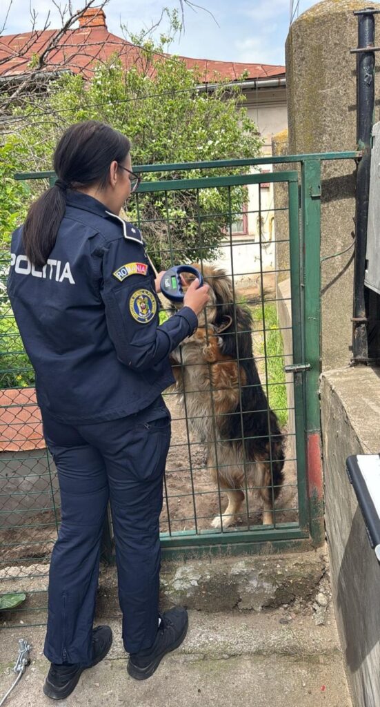 Acțiune a Poliției Animalelor în Craiova pentru informarea proprietarilor de câini