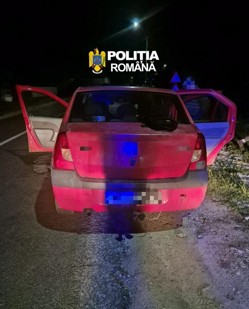 Vâlcea: Bărbat cercetat pentru braconaj și uz de armă fără drept, după un control al polițiștilor în Oteșani