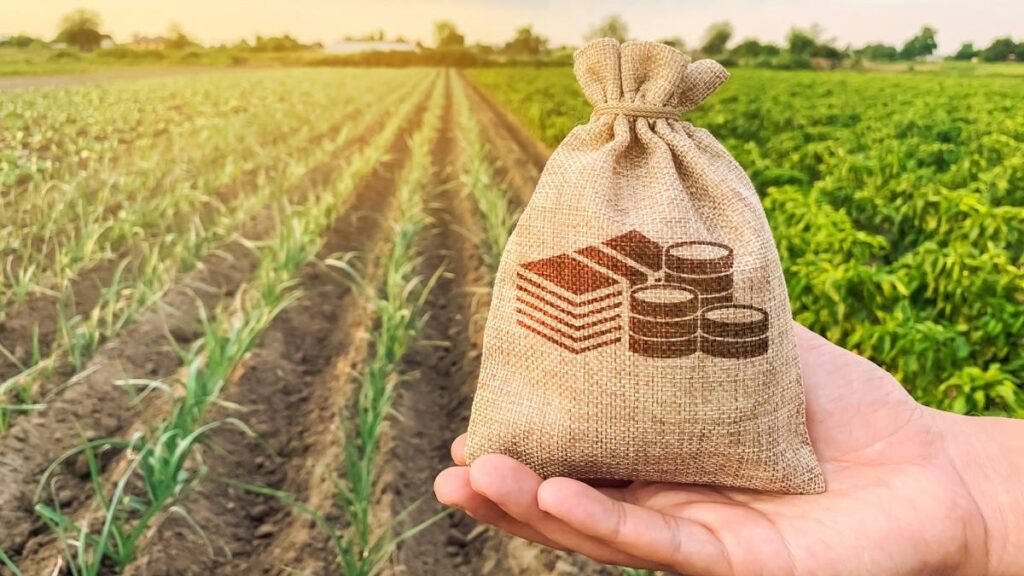 Fermierii pot depune cererile de plată în cadrul Campaniei 2026 și sâmbătă și duminică