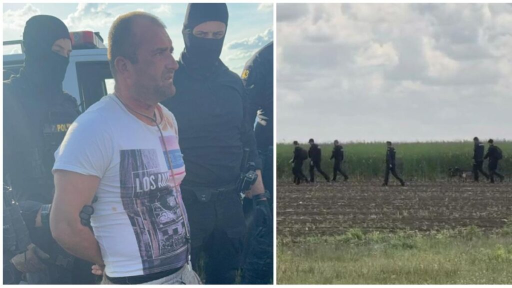 Bărbatul suspectat că a ucis o fată de 18 ani pe un câmp din Bihor a fost prins în apropiere de locul crimei