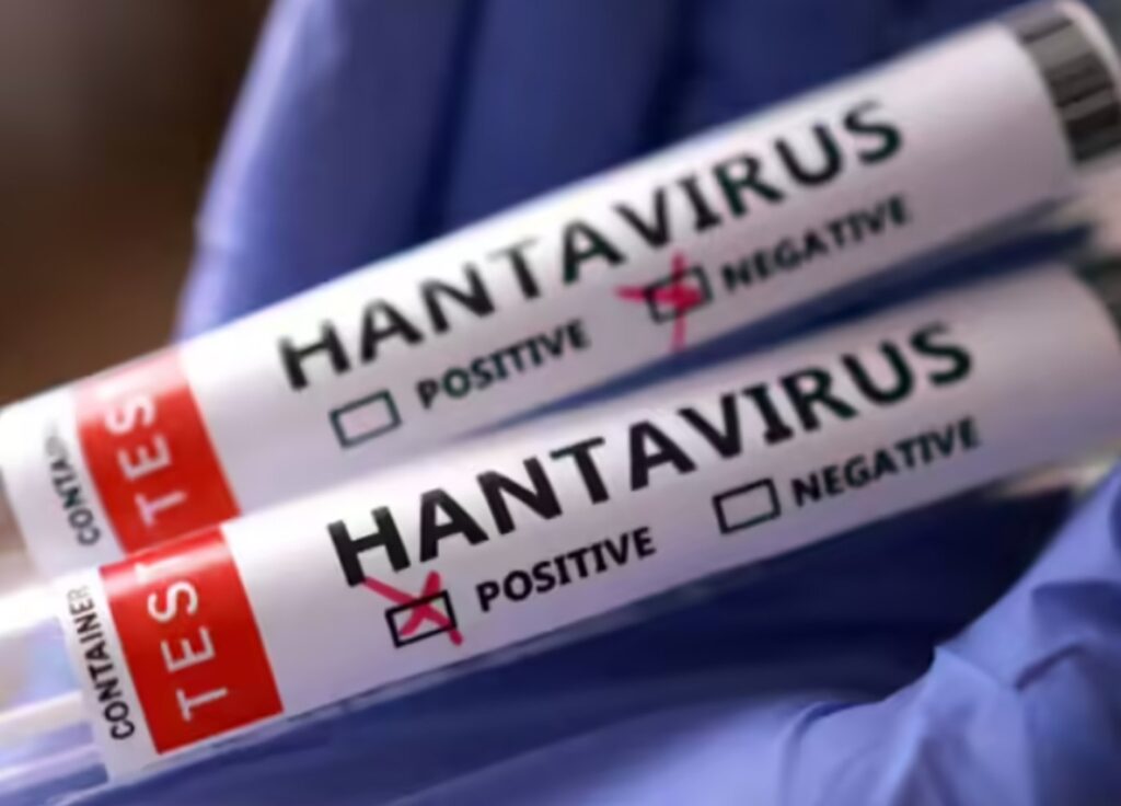 Suspiciune de hantavirus în România. Anunțul făcut de INSP