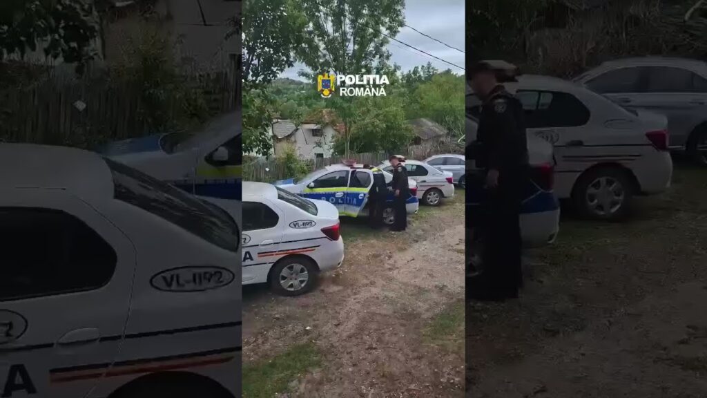 (VIDEO) Două persoane reținute pentru tâlhărie calificată în Vâlcea