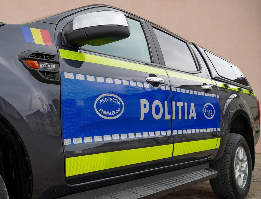 Bărbat din Rovinari, reținut după ce ar fi ucis cu intenție o pisică