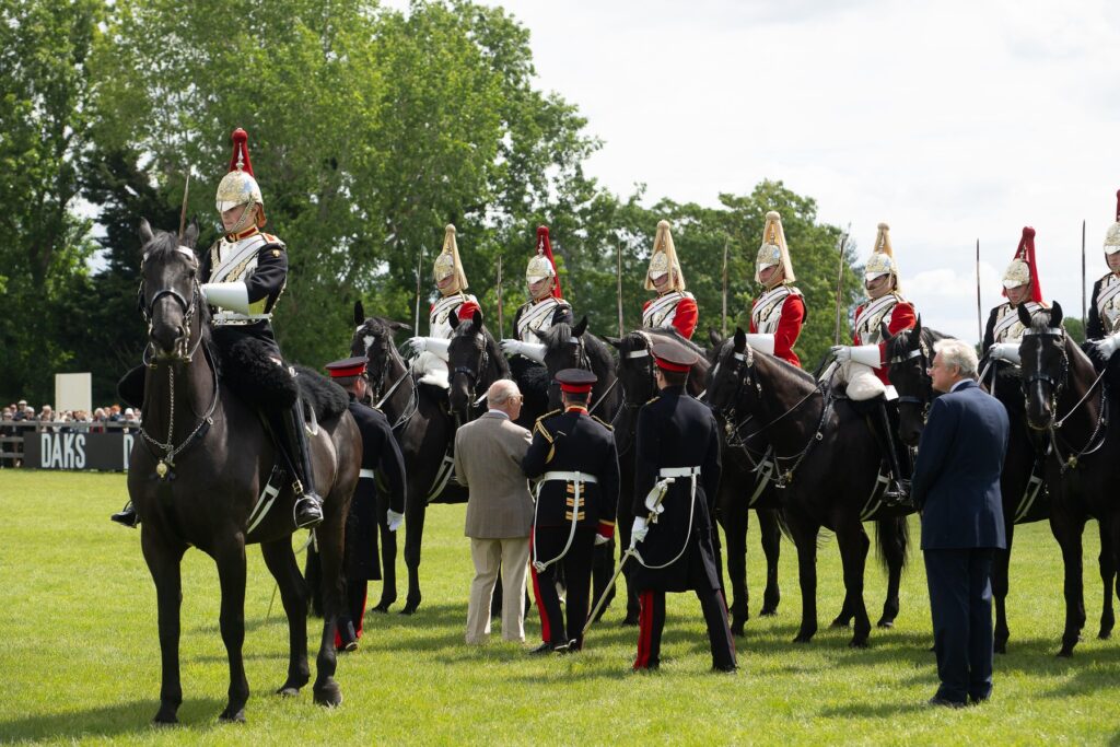 Un soldat a murit după ce a căzut de pe cal la o demonstrație la Royal Windsor Horse Show