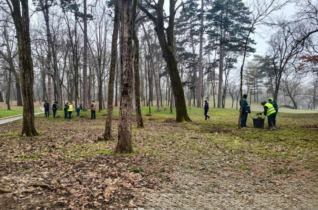 Angajații de la spații verzi/sursa foro:ECO URBIS