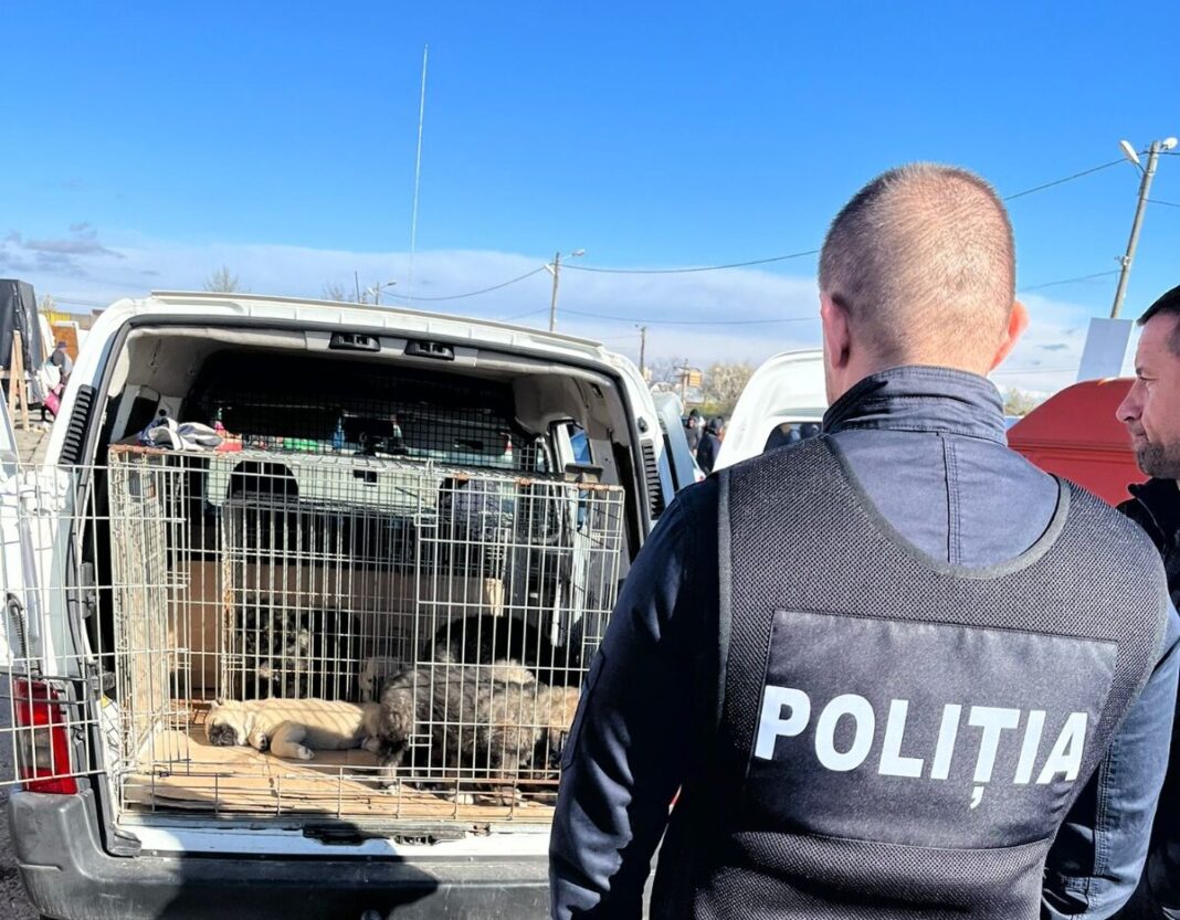 Polițiștii pentru Protecția Animalelor au intervenit după apariția unor imagini în spațiul public