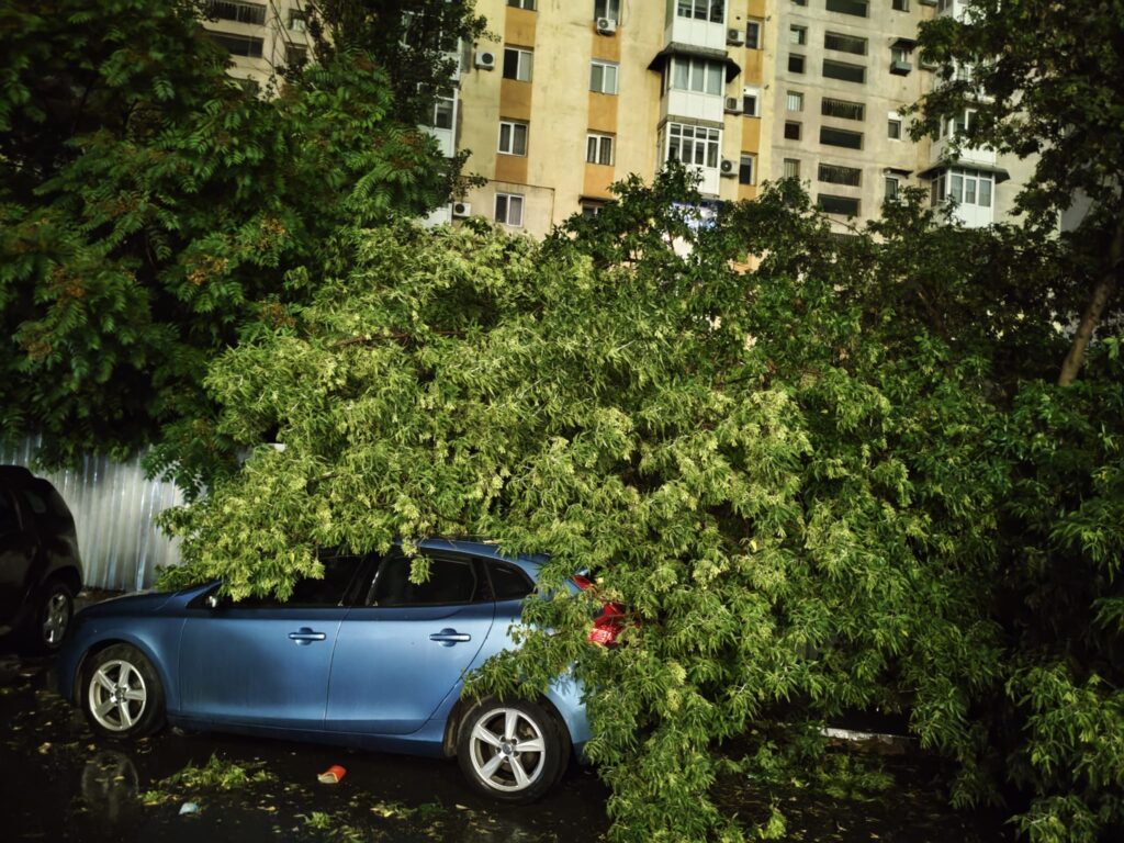 Copaci doborâți de furtună în Craiova. Mai multe autoturisme au fost avariate, pompierii au intervenit de urgență