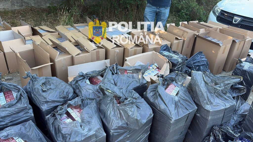 Peste 500.000 de țigarete de contrabandă, descoperite în Dolj. Un bărbat a fost reținut