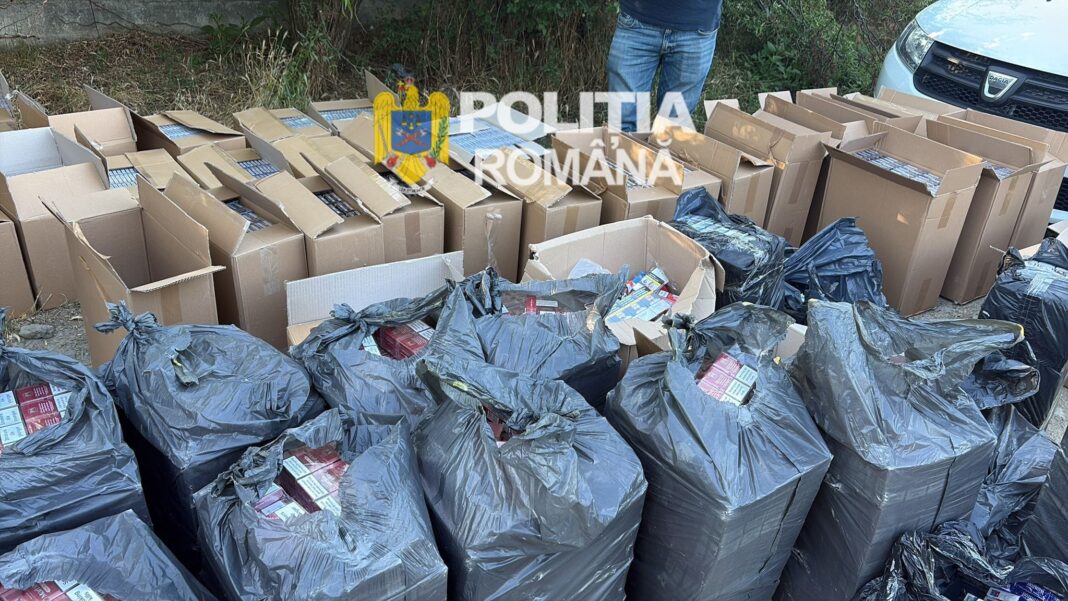 Peste 500.000 de țigarete de contrabandă, descoperite în Dolj. Un bărbat a fost reținut