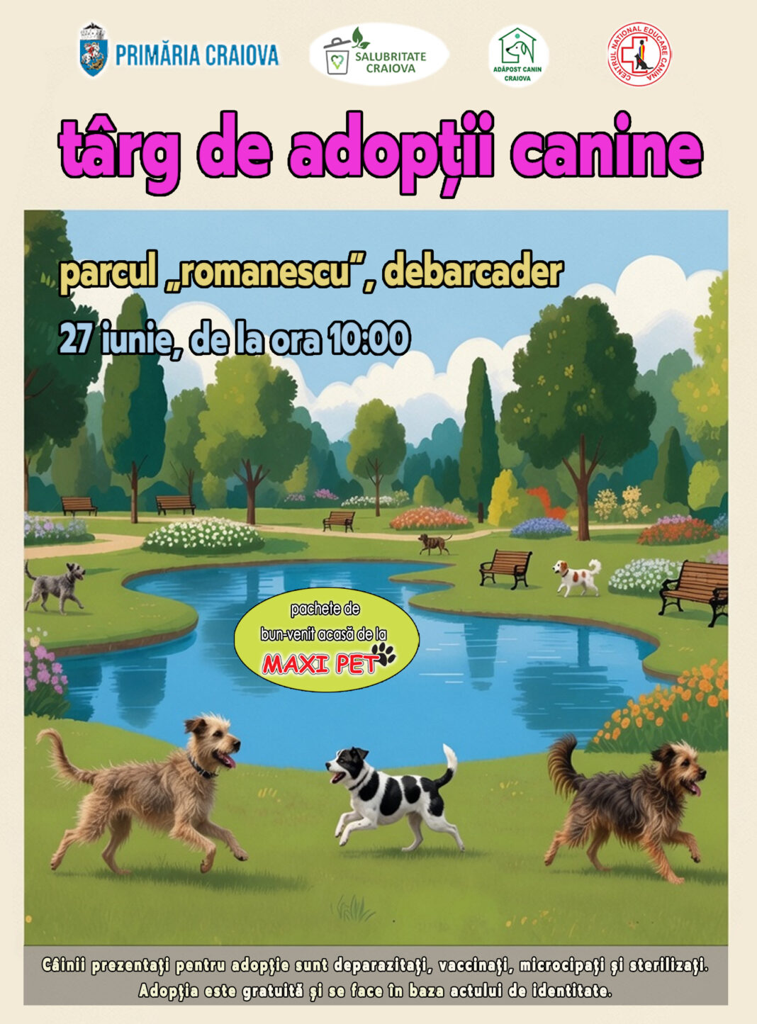Câinii din adăpost, pregătiți pentru adopție