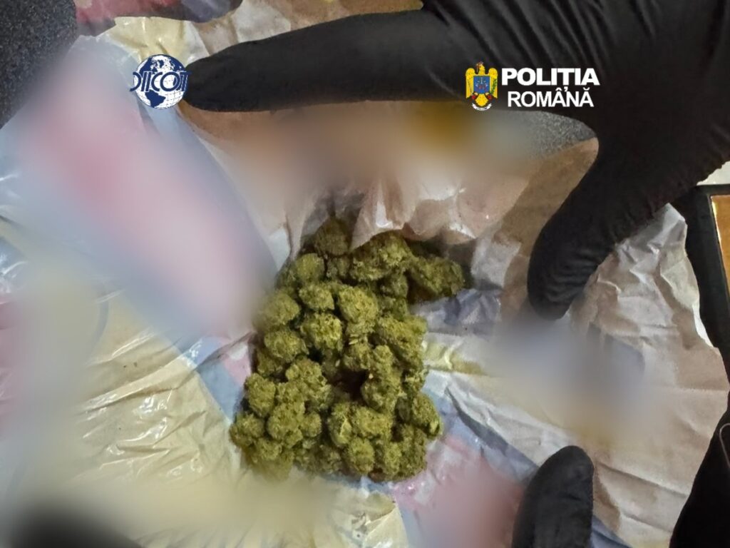 Olt: Persoană arestată preventiv pentru trafic de droguri de mare risc