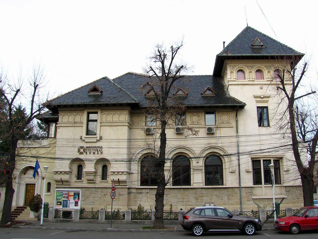 Senatul a votat noua conducere a Institutului Cultural Român