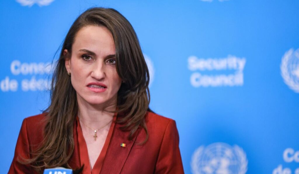 Oana Țoiu: România trebuie să-și consolideze supravegherea şi apărarea antiaeriană