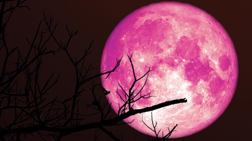Lună plină roz. Imagine cu caracter ilustrativ. Sursa foto: Getty Images