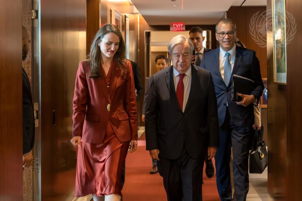 Oana Ţoiu, întâlnire cu secretarul general ONU la New York
