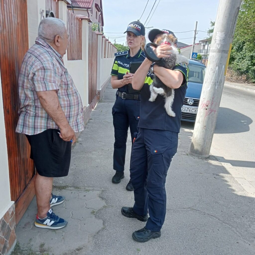 Amenzi de până la 10.000 de lei pentru craiovenii care nu își sterilizează și microcipează câinii