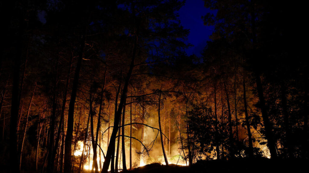 Incendiu de proporții în celebra pădure Fontainebleau, lângă Paris