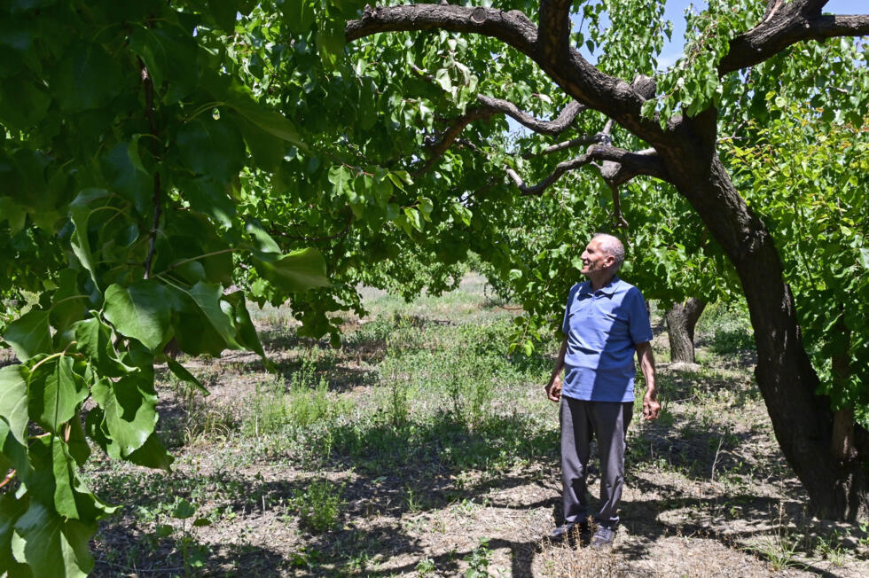Fosta Armenie sovietică are legături formale puternice cu Moscova