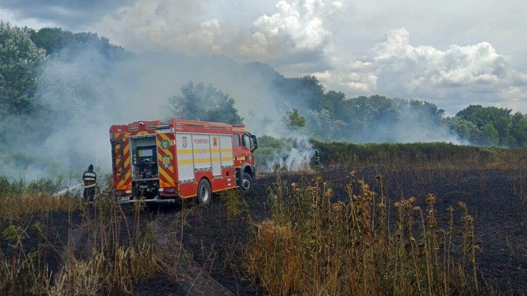 Intervenții în lanț pentru pompierii din Dolj: incendii de vegetație și culturi agricole în mai multe localități