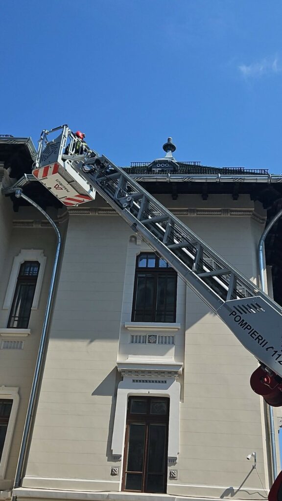 Pisică salvată de pompieri de pe acoperișul Prefecturii Dolj