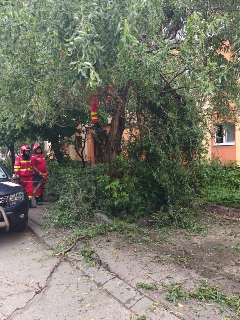 (VIDEO) Furtuna a făcut ravagii în Dolj: zeci de copaci doborâți, locuințe inundate și acoperișuri smulse de vânt
