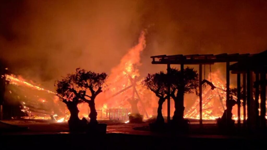Două baruri de pe plaja din Mamaia au ars într-un incendiu