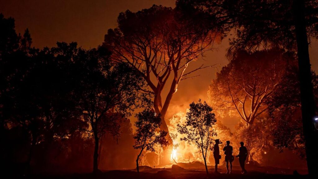 Președintele francez spune că incendiile din Gironde au creat „cea mai dificilă situație de la Al Doilea Război Mondial încoace”