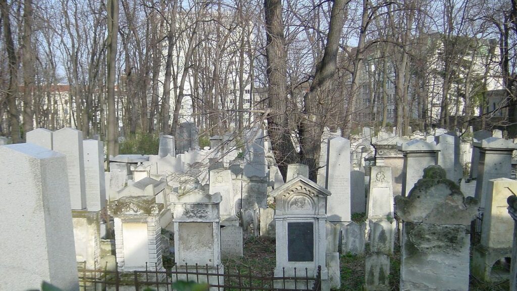 Un cimitir din Viena a devenit și spațiu de fitness în aer liber