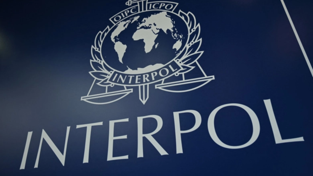 Operațiune Interpol în 97 de țări, inclusiv România, împotriva fraudelor bazate pe inginerie socială