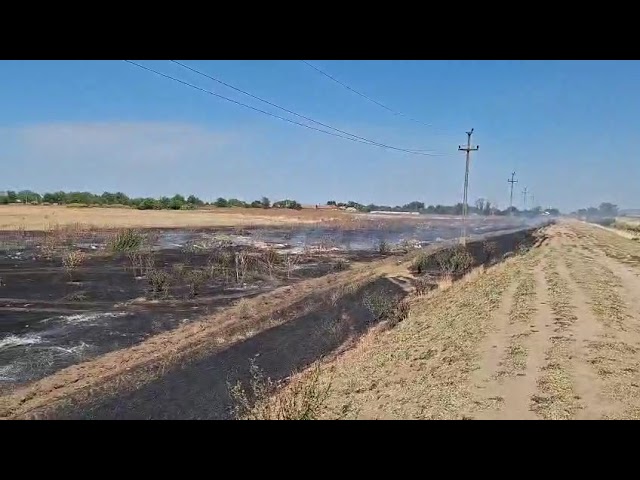 (VIDEO) Incendiu de vegetație în Maglavit. Flăcările au cuprins aproximativ 20 de hectare