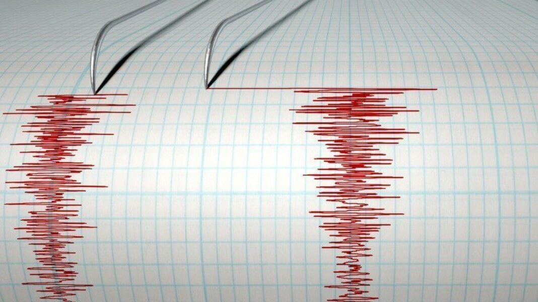 Două cutremure s-au produs în România, în ultimele 12 ore