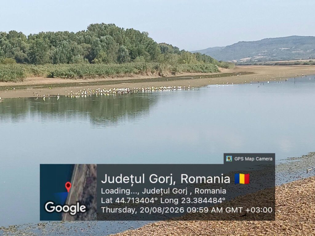 Amendă de 50.000 de lei pentru SE Turceni. Apele Române au constatat nereguli în exploatarea barajului