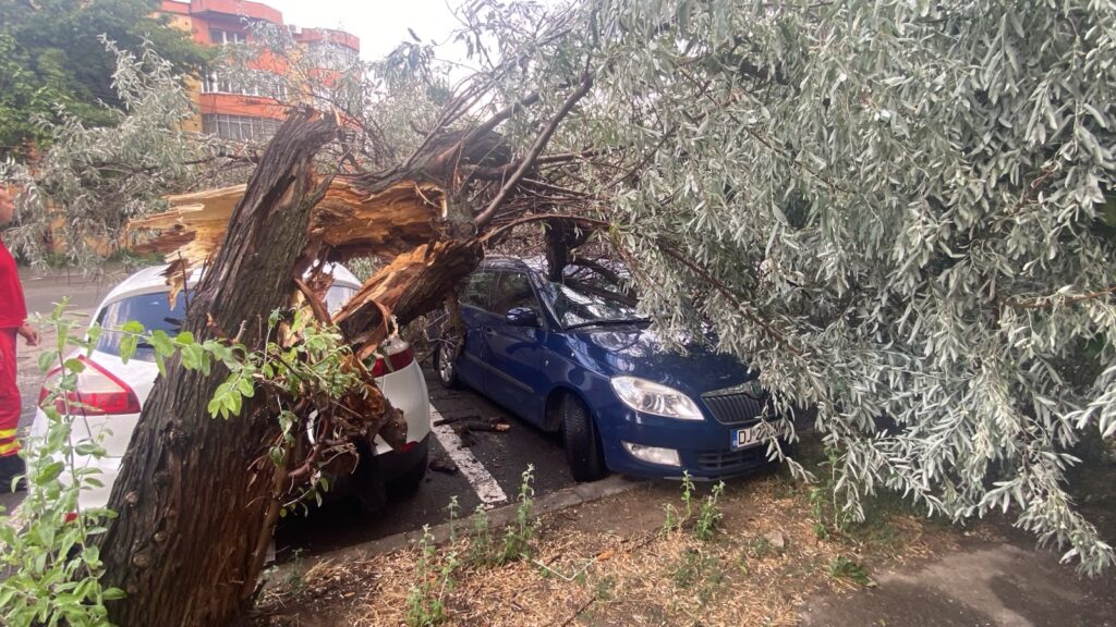 Două autoturisme, lovite de un copac după minifurtuna din Craiova