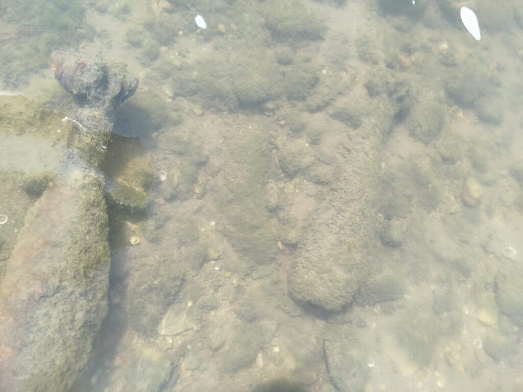 Două grenade de mortier, descoperite în albia Jiului, lângă barajul Ișalnița