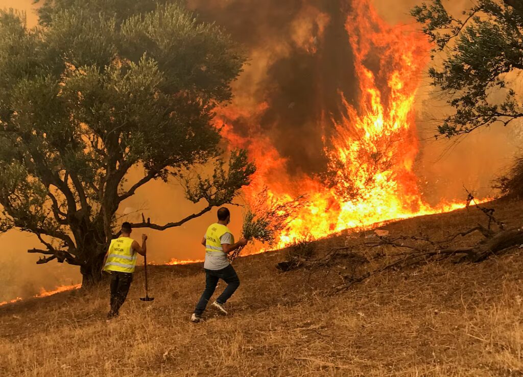 Algeria vrea pedeapsa cu moartea pentru piromani, în urma unor incendii forestiere devastatoare