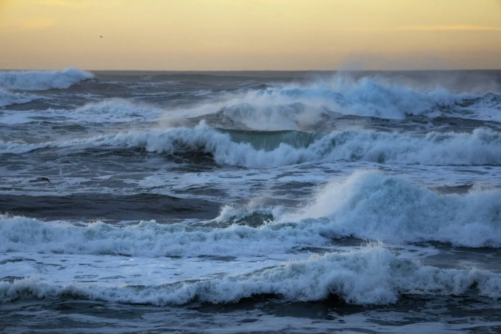 Temperatura apei la suprafața oceanelor a atins recordul absolut
