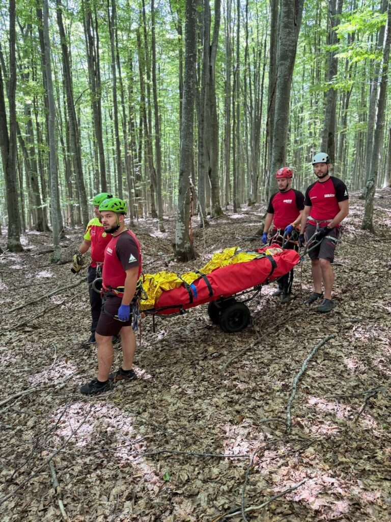 Un muncitor a fost grav rănit de un copac tăiat care a căzut peste el