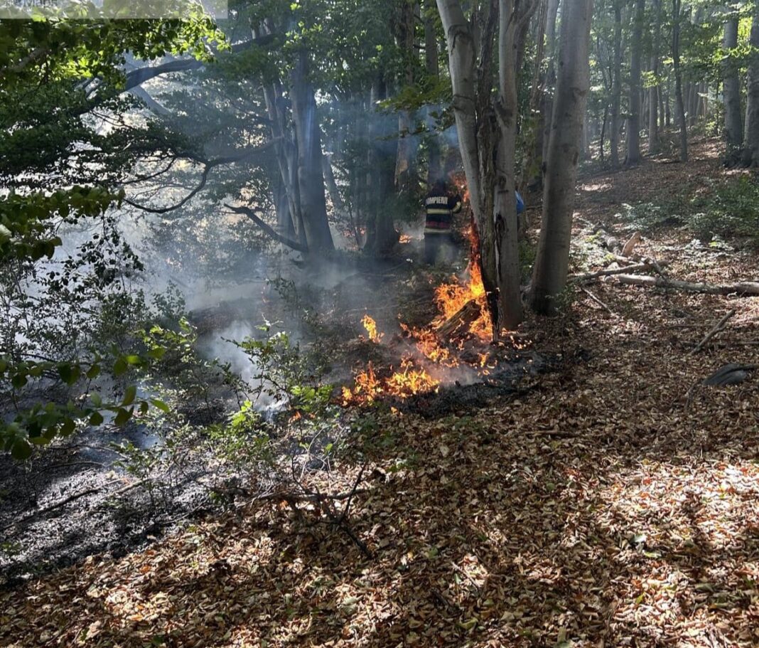 Incendiul de vegetație din Podeni continuă pentru a treia zi