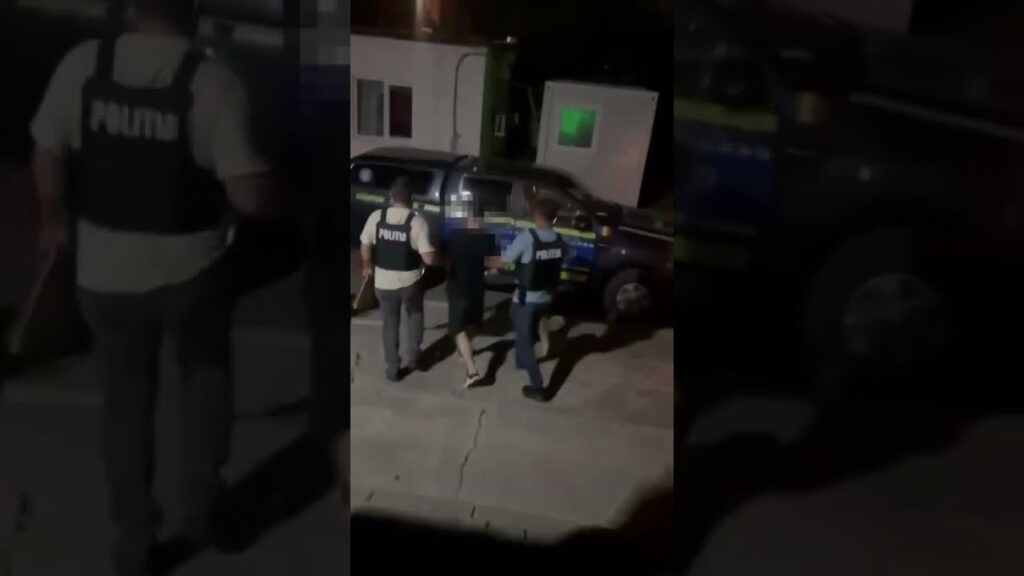 (VIDEO) Tânăr din Cârcea, reținut după ce ar fi omorât o pisică pe un bulevard din Craiova
