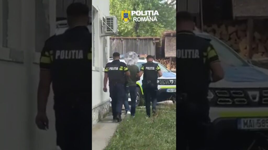 (VIDO) Un bărbat din Isverna, reținut după ce ar fi tăiat ilegal opt arbori