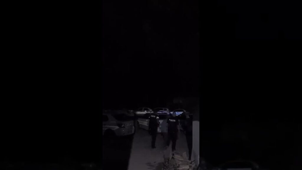 (VIDEO) Bărbat din Pleșoi, reținut după ce și-ar fi agresat fratele
