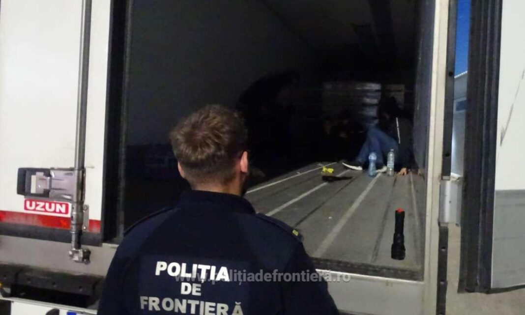 12 migranți, găsiți ascunși într-un camion cu alune, la Calafat. Șoferul turc transporta marfa spre Belgia