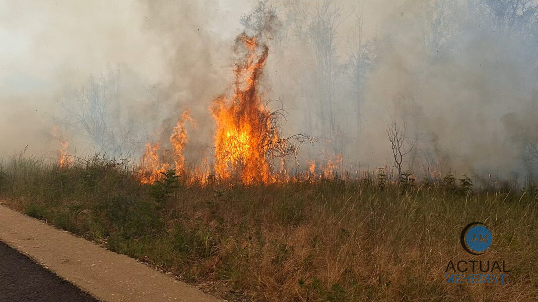 Incendiu de vegetație la Orșova: flăcările au cuprins aproximativ 5 hectare