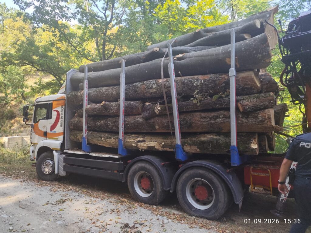 Transport de 15 metri cubi de lemn fără acte, depistat de polițiști în Gorj