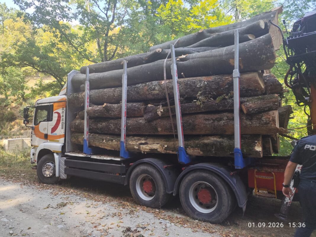Transport de 15 metri cubi de lemn fără acte, depistat de polițiști în Gorj